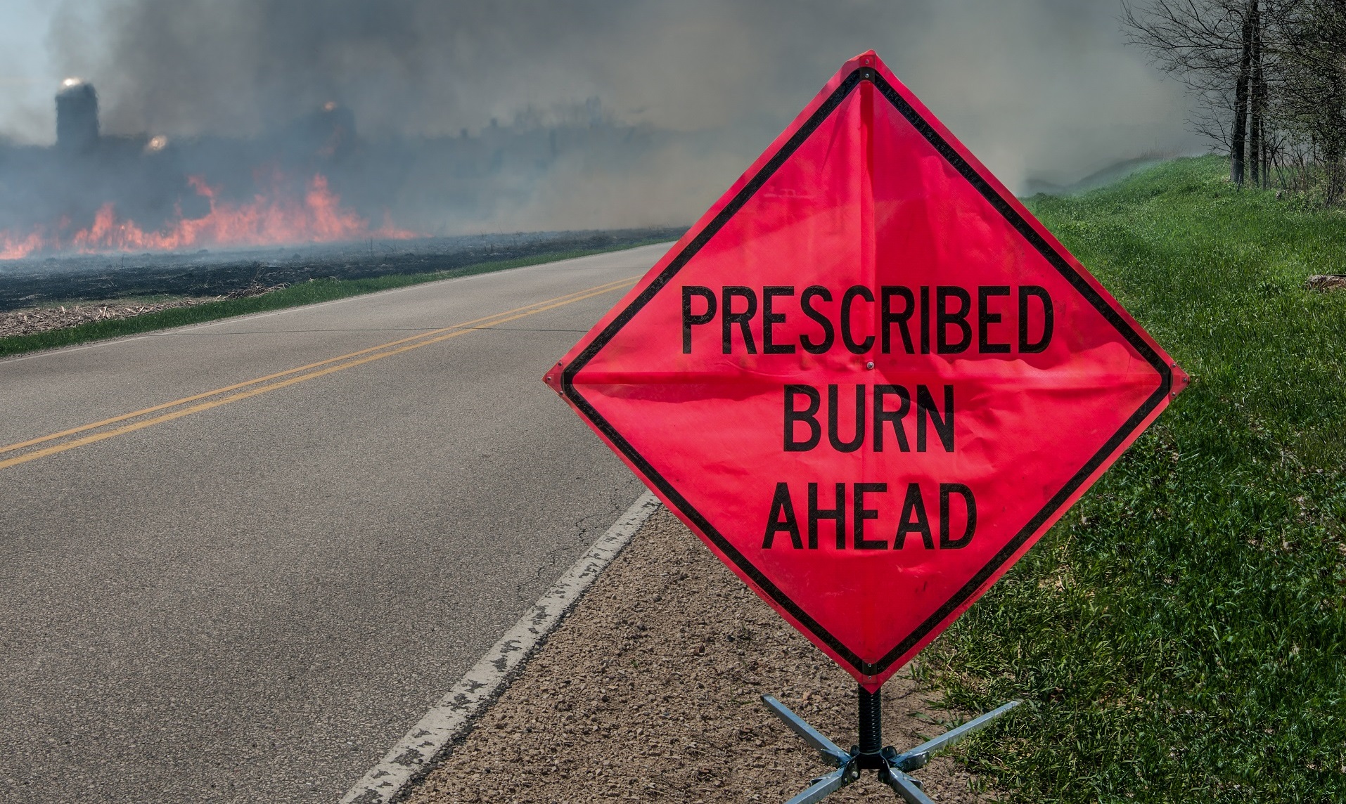 Prescribed Fire Burn MCM